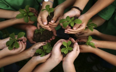 Environmental Education: Inspiring the Next Generation of Eco-conscious Citizens
