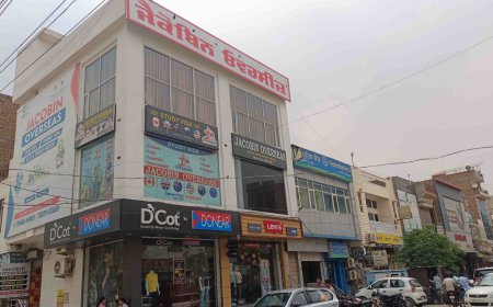 Language Training and Visa Services: Jacobin Overseas, Malout