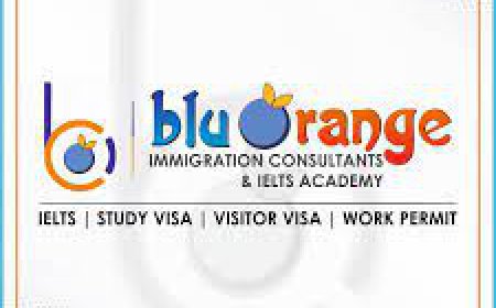 Your Path to Success: Blu Orange Immigration & IELTS Academy