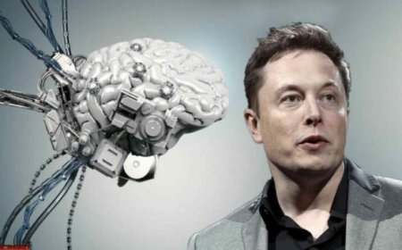 Neuralink's Human Trial: A Revolutionary Step Towards Merging Technology and the Human Brain