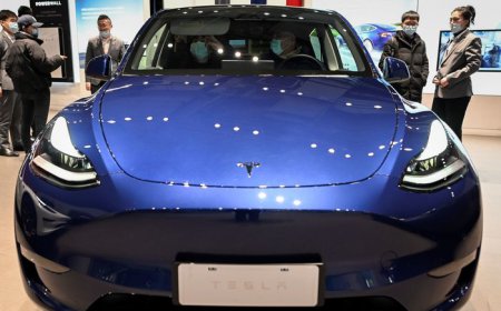 Elon Musk claims that Starlink will also enter the country and that Tesla is looking to invest there.