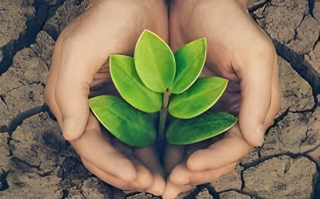 Mission Haryali 2023 - Join the Record-Breaking Effort to Plant 700,000 Trees in a Single Day - Dr. Jagjit Singh Dhuri