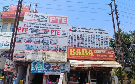 Destination IELTS & Immigration: Empowering Your Journey