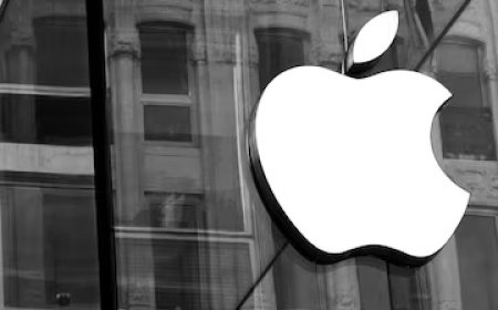 Apple's Defense of Google as Default Search Engine on iPhones and Macs: The Search for Alternatives