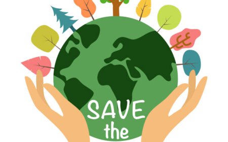 Protecting Our Planet: Practical Ways to Save the Environment