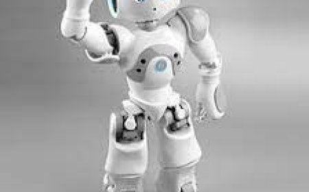 NAO: The Robot Revolutionizing Autism Treatment in Kazakhstan