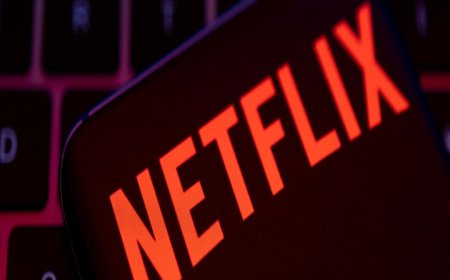 Netflix Price Hike and Subscriber Surge