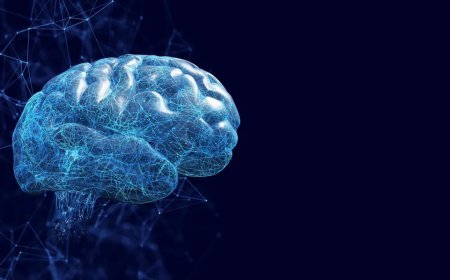 Unraveling the Intricacies: How an AI System Self-Organizes to Mimic the Human Brain