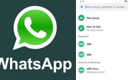 WhatsApp Introducing User Search via Username: Simplifying Connections