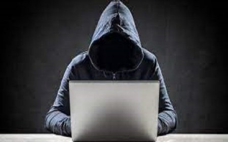 Indian Government Takes Action Against Fake Job Websites