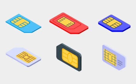 Unmasking the Mystery: Checking How Many SIMs are Registered in Your Name