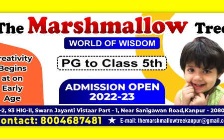 The Marshmallow Tree School: Where Learning Feels Like Fun