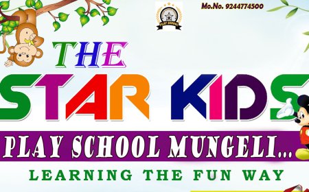 The Star Kids Play School: Where Learning Begins with Joy