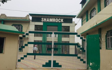 Shamrock Christian School: Nurturing Excellence in Ludhiana