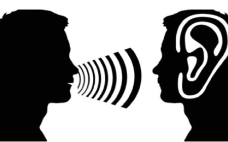 Mastering Lectures: The Art of Active Listening