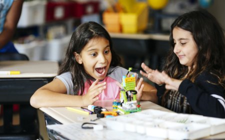 Playful Learning: A Revolution in Education