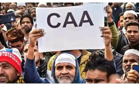 Indian Government Introduces Online  Process for CAA Application