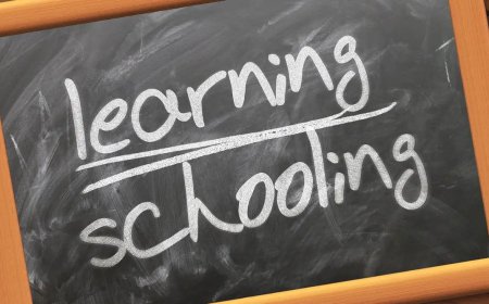 Navigating Educational Trends: What Parents Should Keep in Mind