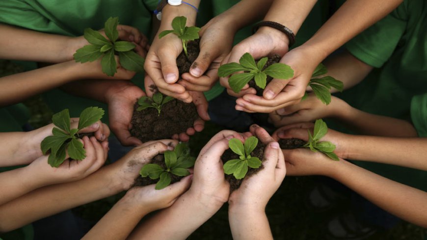 Environmental Education: Inspiring the Next Generation of Eco-conscious Citizens