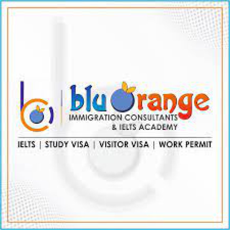 Your Path to Success: Blu Orange Immigration & IELTS Academy