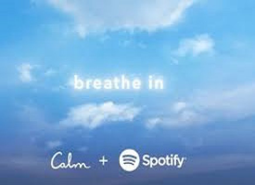 Spotify and Calm Collaborate to Provide Soothing Mental Health Content for Listeners