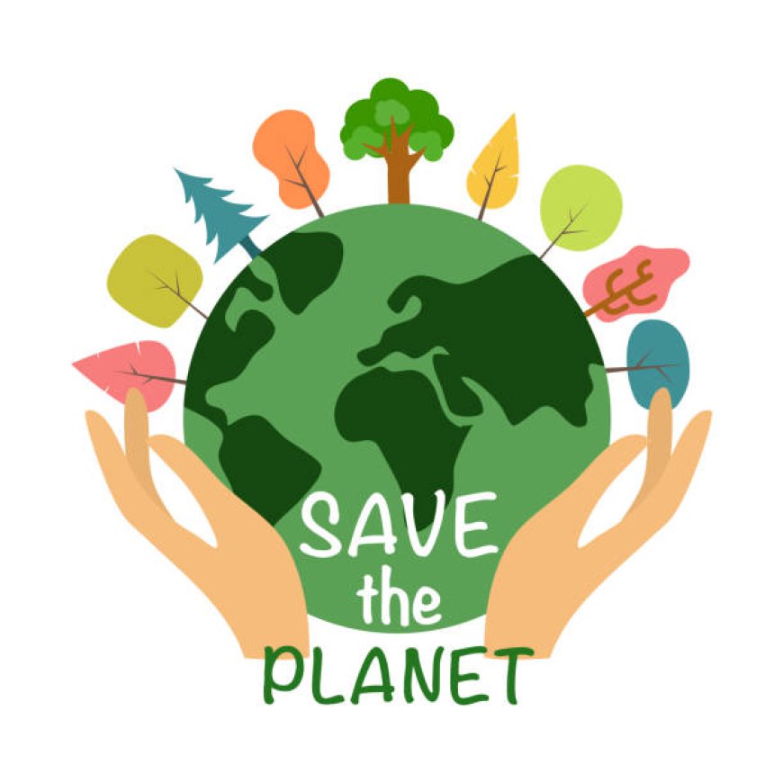 Protecting Our Planet: Practical Ways to Save the Environment