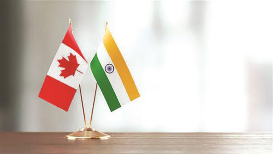 Study Visa Success Rate Surpasses 90% Amid India-Canada Tensions