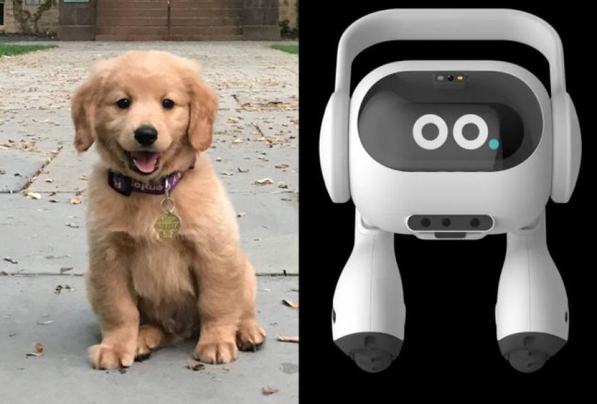 LG Introduces the HomeBuddy: Your AI Companion for Pets and Security