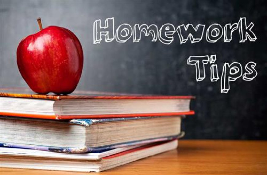 Top 10 Homework Tips for Academic Success