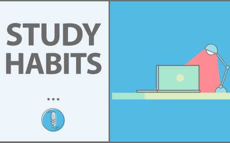 Encouraging Learning Habits at Home