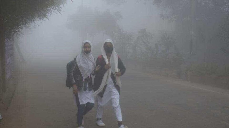 Chandigarh Schools Adjust Timings Due to Cold Wave