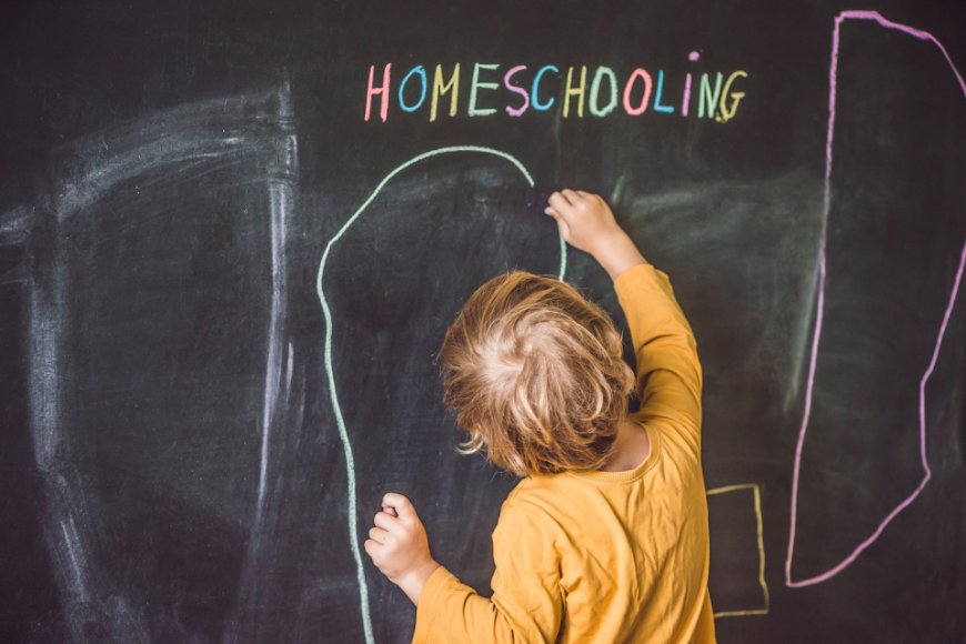 The Rise of Homeschooling: A Global Education Shift