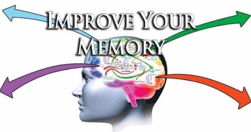 Fun and Effective Ways to Improve Memory: Proven Tips for Better Brain Health