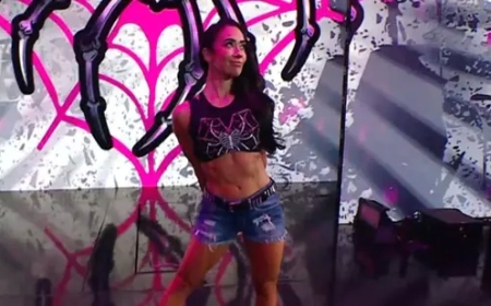AJ Lee Returns: Teams With CM Punk as WWE Confirms Cena vs Lesnar