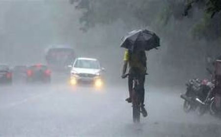 Cyclone Montha: IMD Issues Red Alert for Andhra Pradesh and Odisha as Storm Intensifies over Bay of Bengal