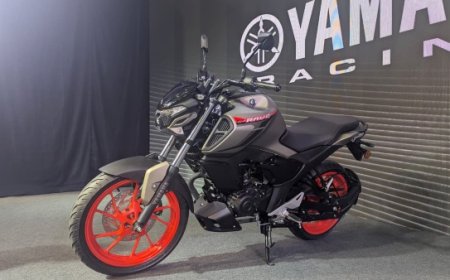 Yamaha FZ-RAVE Launched at ₹1.17 Lakh in India: 149cc Engine, LED Headlamp, ABS & Mileage Details
