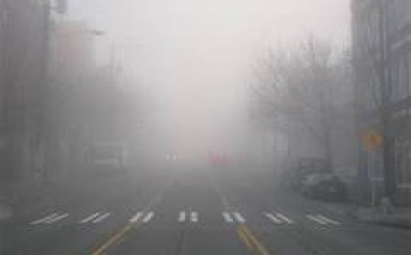 Dense Fog Grips North India: IMD Issues Red Alert for Delhi, UP, Bihar, Punjab and Haryana