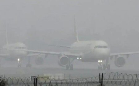 Delhi Flight Status Live: 128 Flights Cancelled, Over 200 Delayed as Dense Fog Disrupts Air Travel
