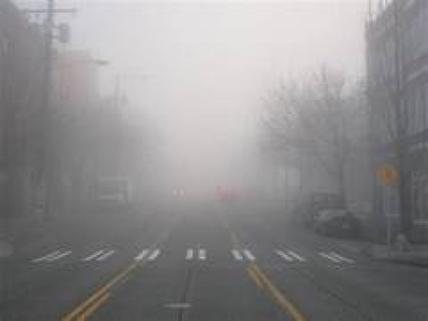 Dense Fog Grips North India: IMD Issues Red Alert for Delhi, UP, Bihar, Punjab and Haryana