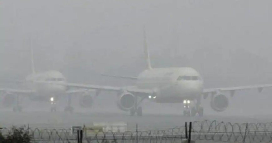 Delhi Flight Status Live: 128 Flights Cancelled, Over 200 Delayed as Dense Fog Disrupts Air Travel
