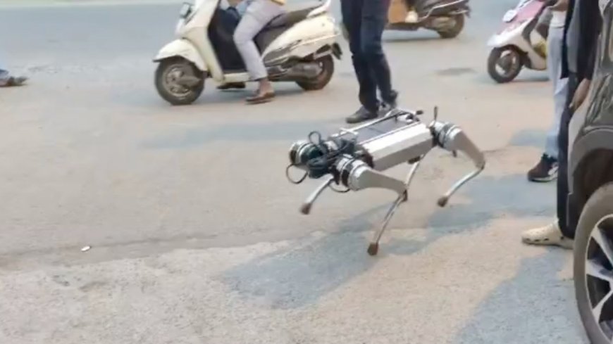 Param Robodog: Bengaluru Startup Unveils Made-in-India AI Robot