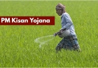PM Kisan 24th Installment: When Will Farmers Get ₹2,000?