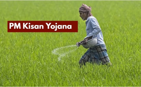 PM Kisan 24th Installment: When Will Farmers Get ₹2,000?