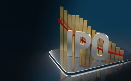 Indo-MIM IPO Allotment Status Out: GMP Hints at 40% Listing Gain Ahead of Debut