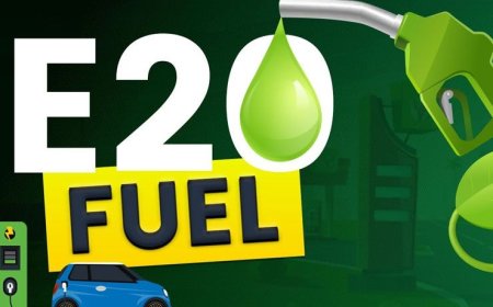 Will E20 Petrol Increase Fuel Prices? Government Says Delhi Petrol Could Have Hit ₹125/Litre Without Ethanol