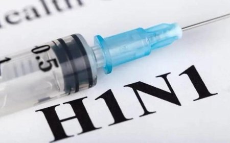 Swine Flu Cases Rise in Delhi: H1N1 Symptoms, Risks, Precautions and Latest Update