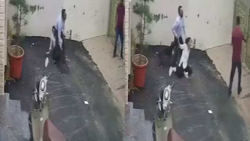 Patiala Pitbull Attack: Police Begin Action After Viral Video