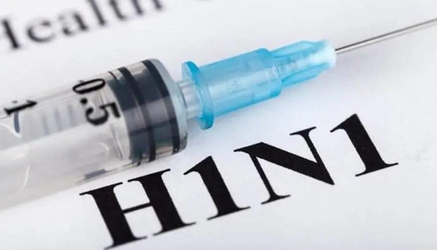 Swine Flu Cases Rise in Delhi: H1N1 Symptoms, Risks, Precautions and Latest Update