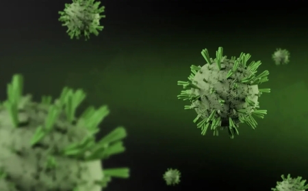 Shamonda Virus: First Human Case, Symptoms and India Risk