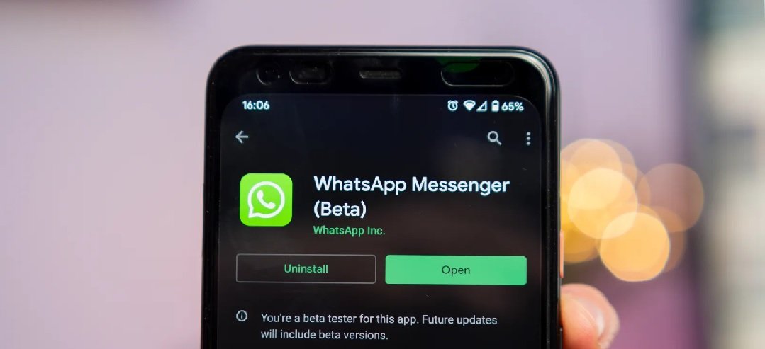 WhatsApp's Multi-Account